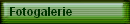 Fotogalerie