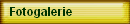 Fotogalerie